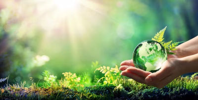 www.coo-consult.nl_environment-3